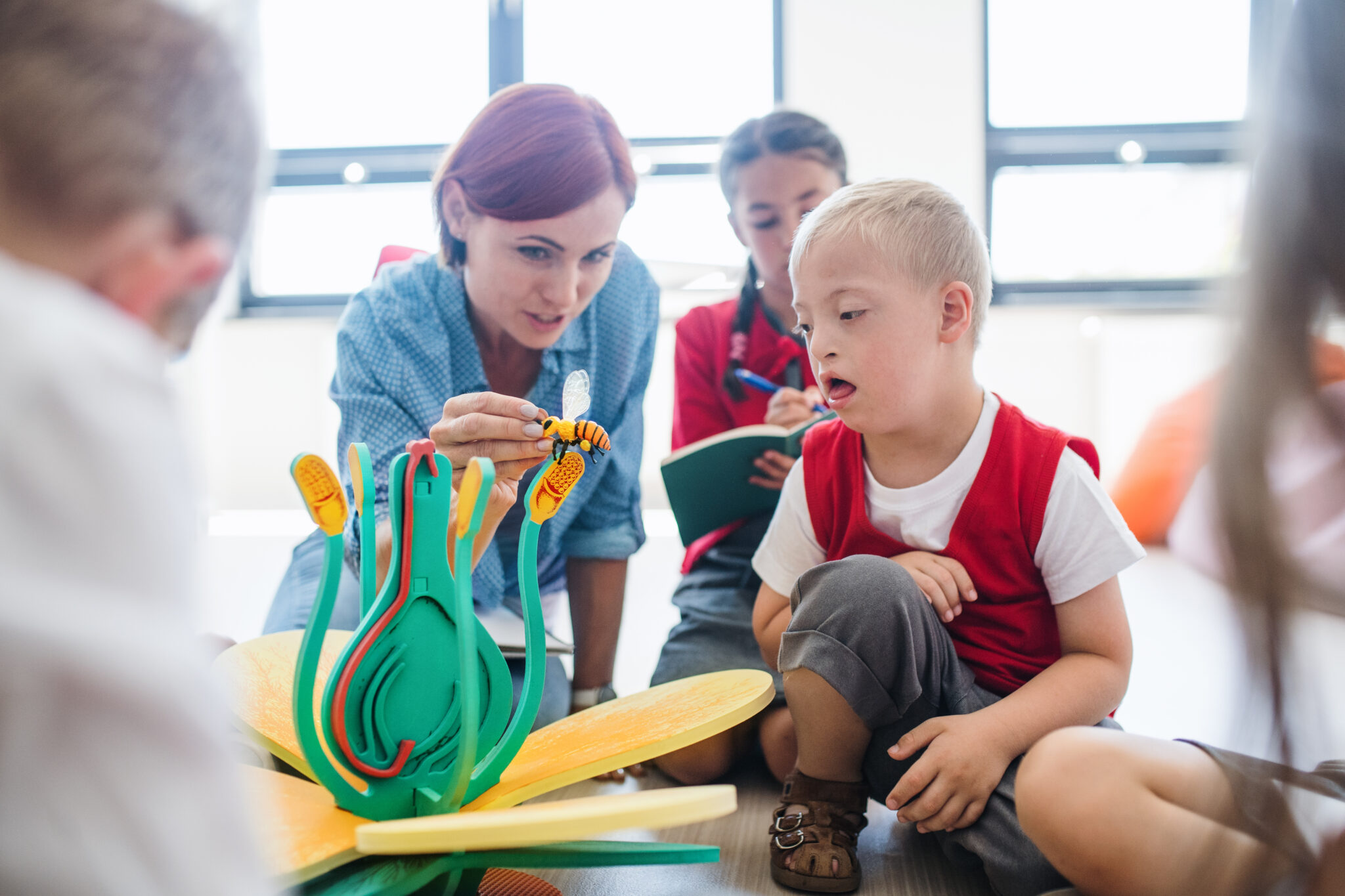 Assunzioni A Scuola Per Gli Asacom Presentata Proposta Di Legge FI